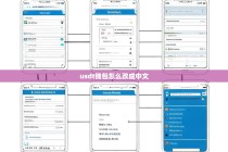 USDT钱包怎么改成中文？详细操作指南